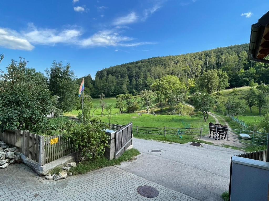 Huedahof Apartment Niemtal