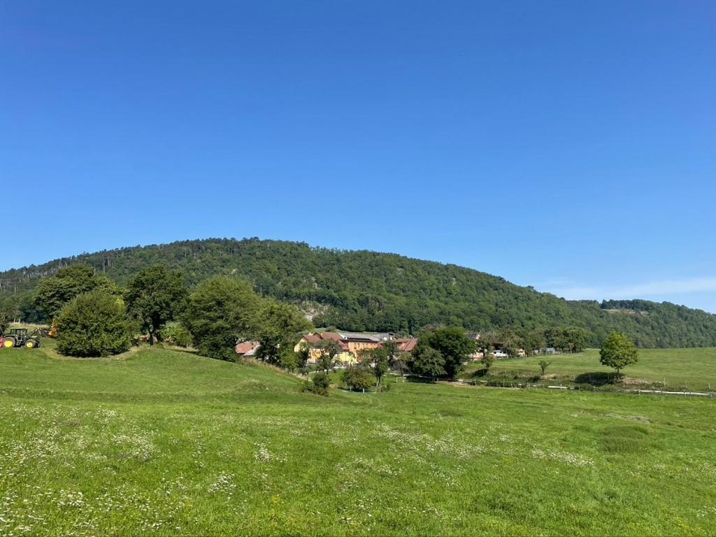 Huedahof